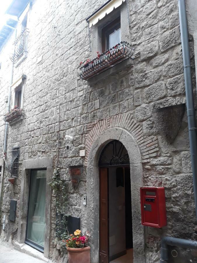 La Tana Del Bruco Guest House Viterbo Dış mekan fotoğraf