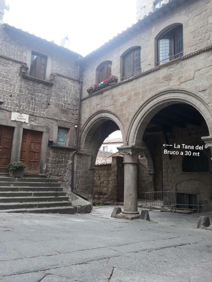 La Tana Del Bruco Guest House Viterbo Dış mekan fotoğraf